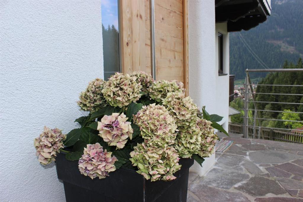 Das Zauberhaft Mayrhofen Exterior photo